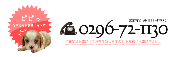 ビビッときたらお気軽に