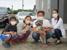 キャバプー ハーフミックス犬 ブリーダー 茨城県 関東 東京都 神奈川県 千葉県 埼玉県 群馬県 栃木県 静岡県 福島県 (2)