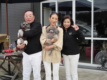 キャバプー ハーフミックス犬 ブリーダー 茨城県 関東 東京都 神奈川県 千葉県 埼玉県 群馬県 栃木県 静岡県 福島県 (3)