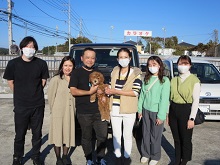 キャバプー ハーフミックス犬 ブリーダー 茨城県 関東 東京都 神奈川県 千葉県 埼玉県 群馬県 栃木県 静岡県 福島県