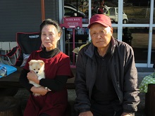 ポメチワ ハーフミックス犬 ブリーダー 茨城県 関東 東京都 神奈川県 千葉県 埼玉県 群馬県 栃木県 静岡県 福島県