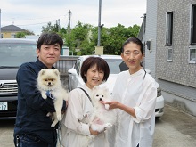 ポメラニアン ブリーダー 茨城県 関東 東京都 神奈川県 千葉県 埼玉県 群馬県 栃木県 静岡県 福島県 (2)