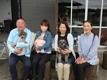 マルプー キャバプー ハーフ犬 ミックス犬 ブリーダー 茨城県 関東 東京都 神奈川県 千葉県 埼玉県 群馬県 栃木県 静岡県 福島県